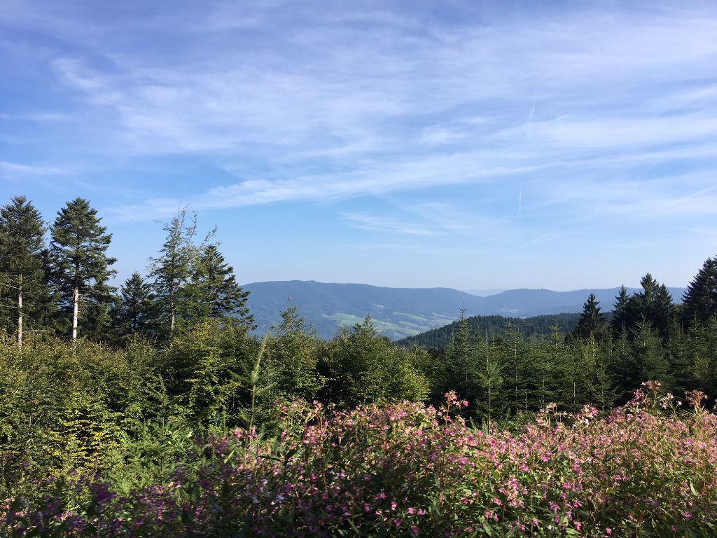 Mattenhof 젤암하르메스바크 외부 사진